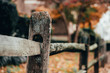 Close up of rustic wooden post in fence