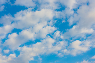 Wall Mural - clouds and blue sky on a sunny day