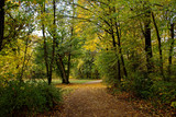 Fototapeta Sypialnia - autumn day in a deserted Park