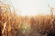 © soupstock - Father and son walking in dried corn stalks in a corn maze