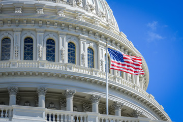 Wall Mural - Capitol Building in Washington DC