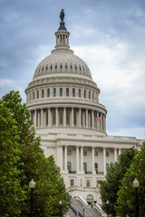 Wall Mural - Capitol Building in Washington DC