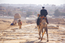 Police Ride On Camel