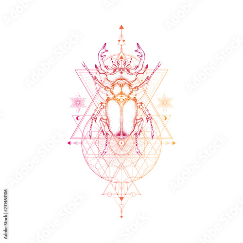 Vector Illustration With Hand Drawn Stag Beetle And Sacred
