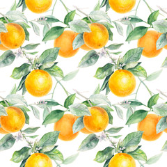 Wall Mural - Orange seamless pattern. Orange fruit hand draw watercolor illustration.