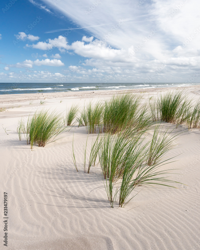 Endless Empty Sandy Beach on Baltic Sea near Leba Sand Dunes in Poland - obrazy, fototapety, plakaty 