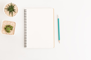 Wall Mural - top view white notebook with cactus on white background, flat lay photo and copy space for design