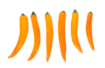 Wall Mural - Yellow chili pepper isolated on white background