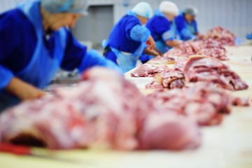 Cutting and processing of meat at a meat-packing plant. Food industry