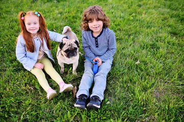 two children boy and girl playing in park on grass with dog of pug breed.