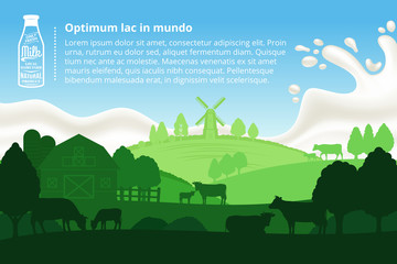 Vector milk illustration with cows, calves, farm and milk splash