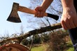 A man is cutting a branch of a tree with an axe. The man holds this hatchet and chops wood for fire, and Sun shining on this scene.
