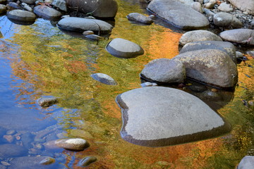 Poster - River Fall Reflections