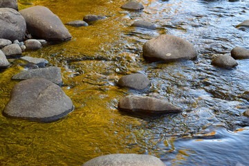 Wall Mural - River Fall Reflections