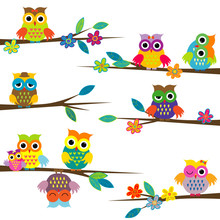 Cute Cartoon Owls On Tree Branch