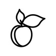 Fruit and berry collection - apricot. Line icon of whole apricot with leaves. Vector Illustration 