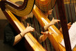 Two women play the harp during a symphonic concert. Close up on hands and strings. Excellence and  artistic skill.