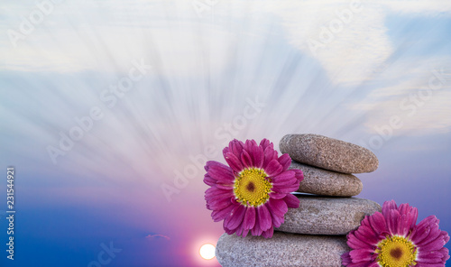 flores y piedras bajo el cielo azul