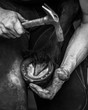 Farrier at Work