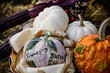Friendsgiving Thanksgiving centerpiece with decorated pumpkins and traditional indian corn Thanksgiving harvest with friends