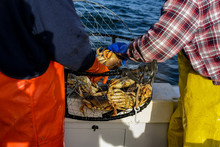 Crab Fishing For Dungeness Crab Off The Coast Of Half Moon Bay Ca.