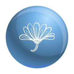 Poster - Herb calendula icon. Simple illustration of herb calendula vector icon for web design isolated on white background