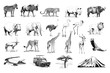 Set of many african animals and car, tree, mountain hand drawn illustrations