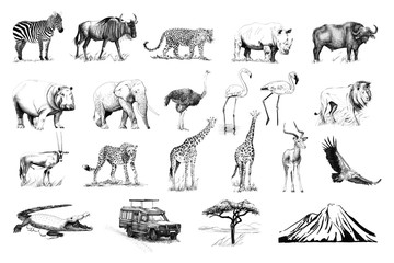 set of many african animals and car, tree, mountain hand drawn illustrations