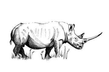 Wall Mural - Rhino hand drawn illustrations