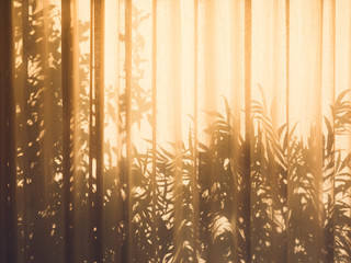 Aufkleber - Tree leaves shadow on Curtain wall Nature Abstract background