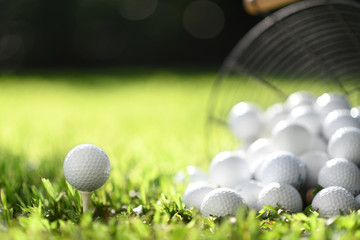 Golf ball on tee and golf balls in basket on green grass for practice