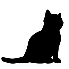 Wall Mural - isolated silhouette cat sitting