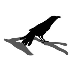 Wall Mural - vector, isolated silhouette ravens, birds