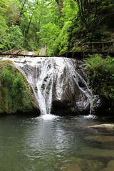 Waterfall in  forest