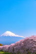 View of Mount Fuji with Sakura cherry blossom at Ryuganbuchi, Shizuoka, Japan.