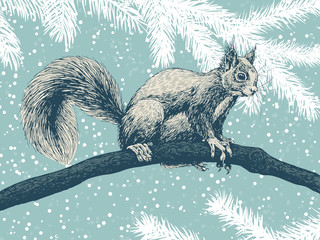 Wall Mural - Hand drawn squirrel on a branch on a winter background with fir branches and falling snow.