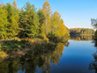 Autumn forest with a beautiful lake in sunny day. Bright colorful trees reflected in calm water with fallen leaves