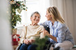 © Halfpoint - A senior woman in wheelchair with a health visitor at home at Christmas time.