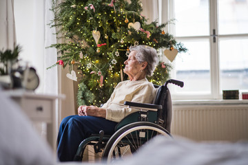 Poster - A senior woman in wheelchair at home at Christmas time.