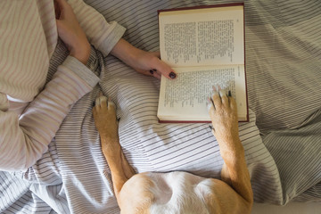 Reading book in bed with a dog.