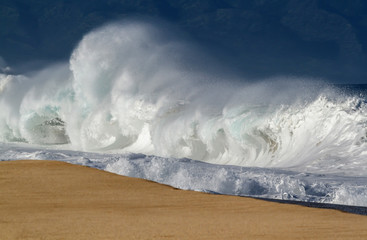 A Big Wave crashing on shore