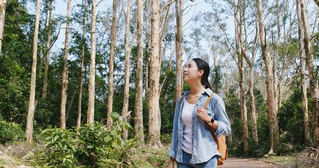 Wall Mural - Woman look at the forest when hike