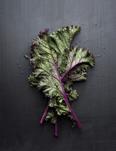 Red Kale On Metal Background