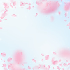 Wall Mural - Sakura petals falling down. Romantic pink flowers 