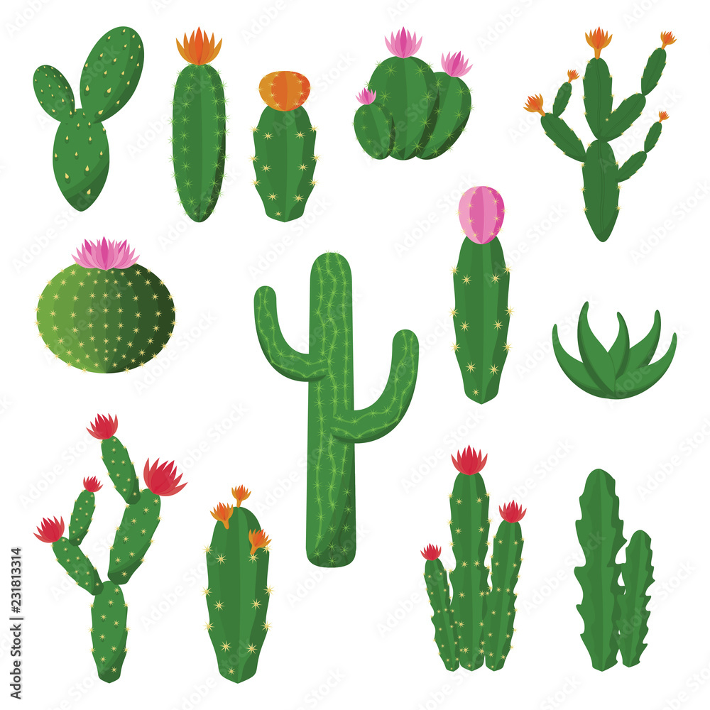 Cute Cactus Cacti Plant Flat Design Illustration Set Stock Vector | Adobe  Stock