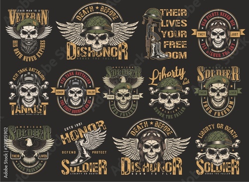 Vintage colorful military emblems set