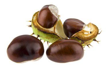 Sticker - chestnuts isolated on white background