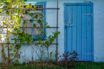 Blue window and door on a wall