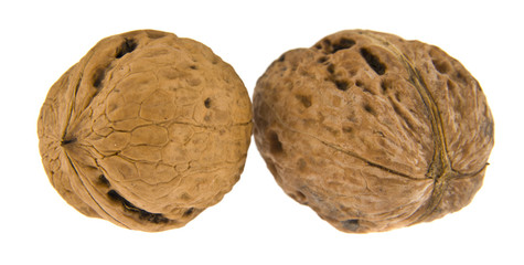 Sticker - walnut isolated on white background