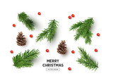 Fototapeta Panele - Vector Christmas Natural Decoration Set